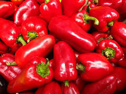 Fresh Red Chilli Pepper