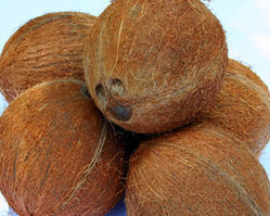 Fresh Husked Coconut