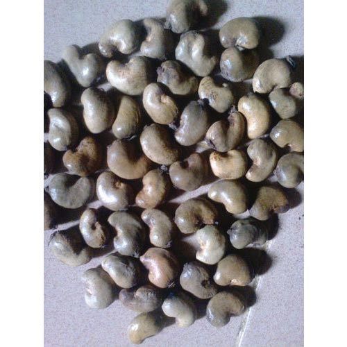 Khara Raw Cashew Nuts Processing Type: Dried