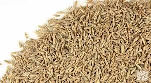 Natural Herb Cumin Seeds