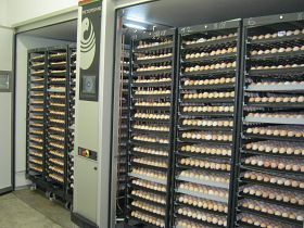 High Performance Poultry Incubator