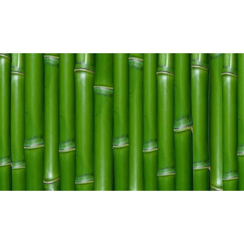 Durable Green Bamboo Pole