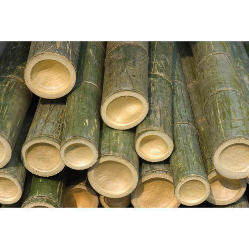 High Quality Dry Bamboo Pole