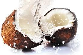 Fresh Affordable And Semi Husked Coconut