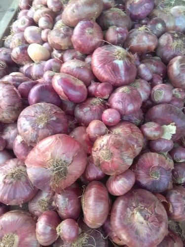 Big Fresh Red Onion - Whole Vegetable , Free from Impurities, Multiple Health Benefits, Excellent Taste, Hygienically Processed