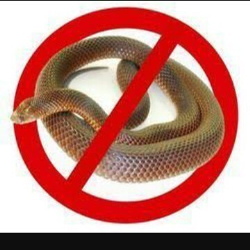 Snake Control Services By Jogniya Pest Control Services