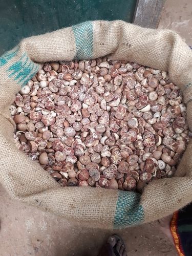 Dry Betel Nuts (Supari)