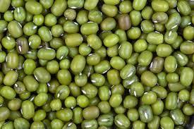 Fresh Green Mung Beans