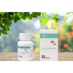 Glucosamine Capsules