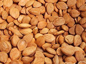 High Grade Apricot Kernels