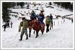 Kullu Manali Honeymoon Package