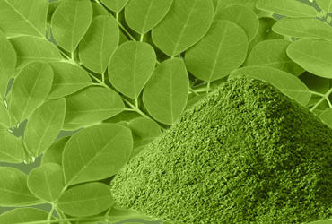 Organic Moringa Leaf Powder