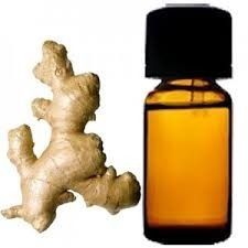 Quality Approved Ginger Oil