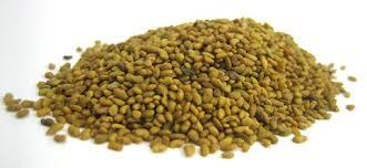 Suncured Dried Alfalfa Seeds