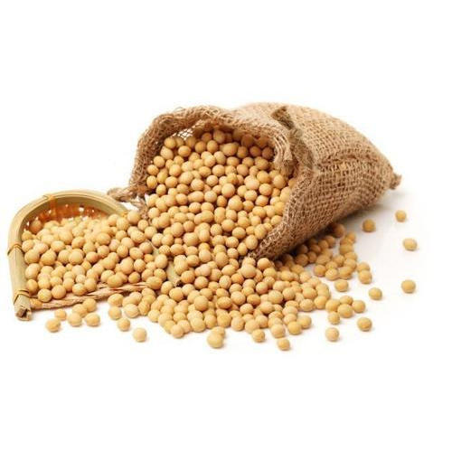 Rich In Vitamins Indian Soy Bean
