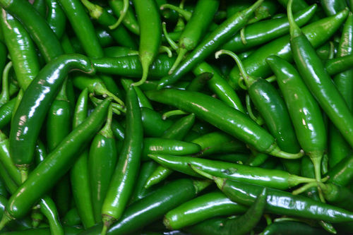 Fresh Green Chilli (Mirchi)