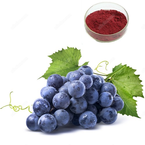 Red Grape Skin Extract Powder 300g Natural Anthocyanin –