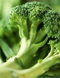 Most Delicious Green Broccoli