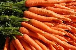 Organic Fresh Healthy Carrot