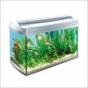 76 X 0.79 X 0.39 Inch Transparent Glass Aquarium Thermometer at