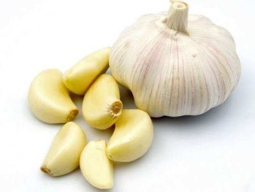 Fresh Hygienically Packaged Dry Garlic