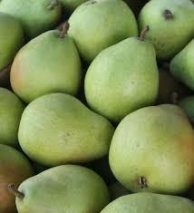 Fresh and Sweet Pears