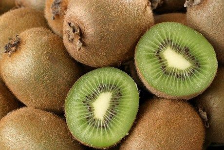 Kiwi fruit in South Africa, Kiwi fruit Manufacturers & Suppliers in