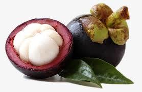 Tropical and Sub-Tropical Fresh Mangosteen