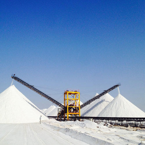 Industrial Salt Powder