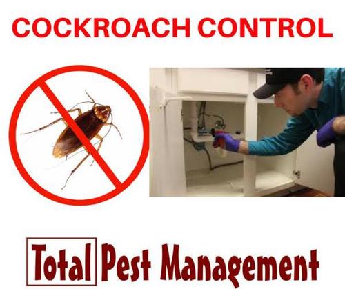 Pest Control Service For Cockroach