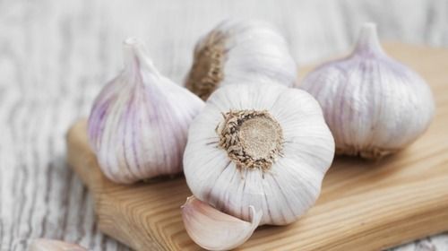 Fresh and Pure Garlic