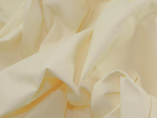 Trendy Fancy Cream Colour Fabric