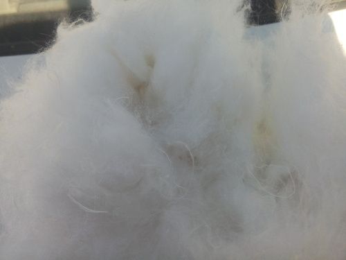 Super White Fiber Cotton Waste