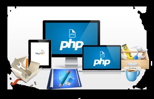 Web Development Service