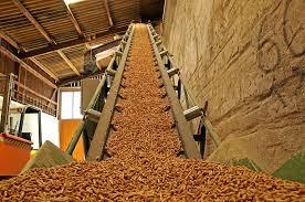 Durable Biomass Pellets Plant