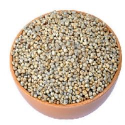 High Quality Millet Seeds
