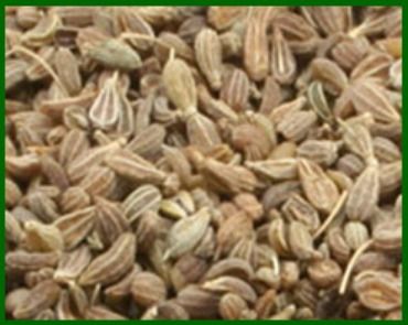 Anise Seed Essential Oil - Premium Quality, Pure and Natural Ingredients, Ideal for Aromatherapy and Culinary Uses