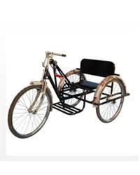 Black Full Size Tricycle For Handicaps