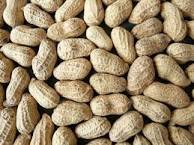 High Grade Ground Nuts