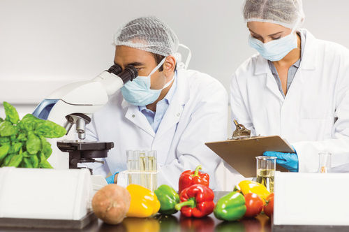 Food Product Testing Service
