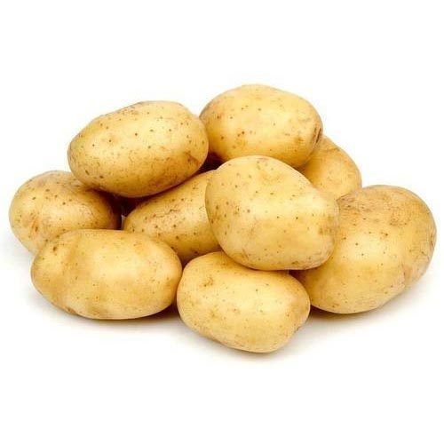 Fresh and Healthy Potato