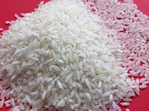  गैर बासमती चावल (IR 64 कच्चा) 