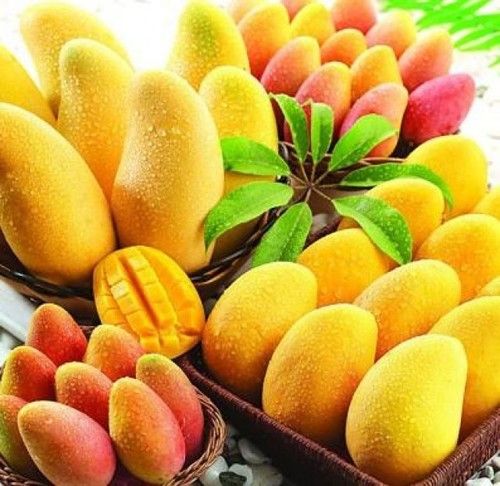 Dried Fresh And Pure Mango