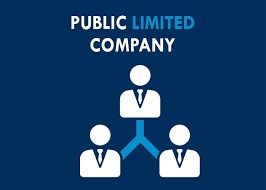 Public Company Registration Service