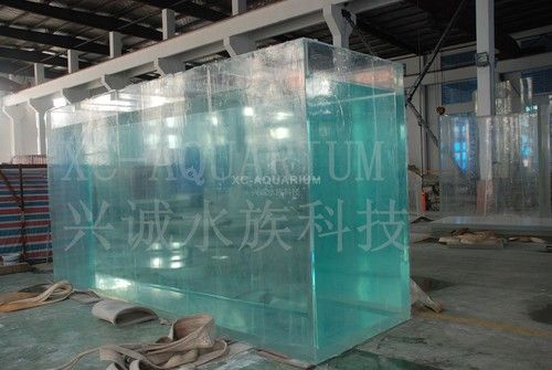 Commercial Reliable Acrylic Fish Tank