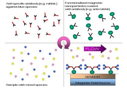 Ferrofluids For Biomedical Applications