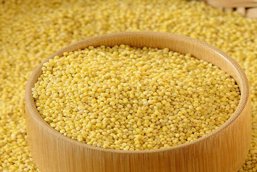 Foxtail Millet Navane Thennai Rice