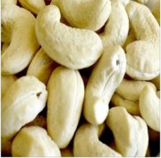 Fresh Processed Cashew Nuts