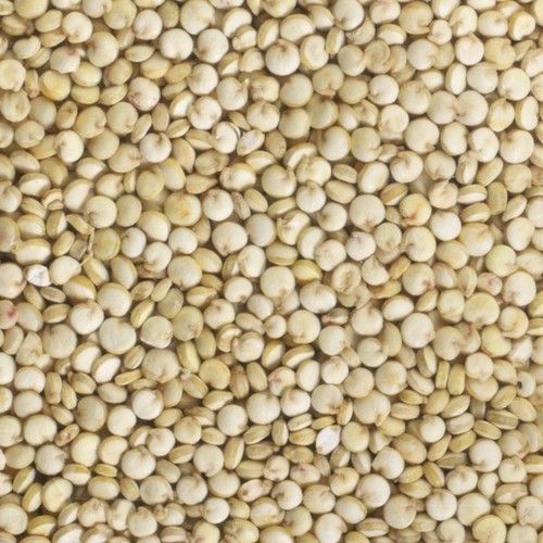 High Protein Organic Quinoa Seeds