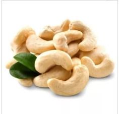 Top Quality Organic Cashew Nut